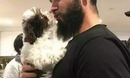 狗狗和领养人的第一次见面，幸福的不敢相信！