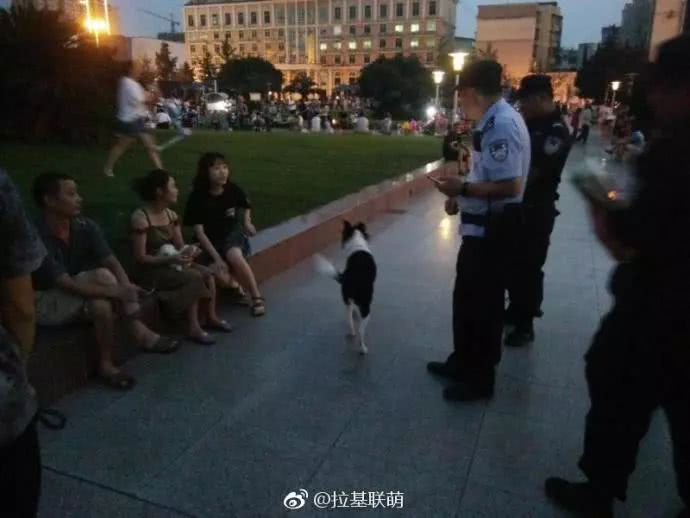 成都的警察蜀黍上街发牵引绳，引网友盛赞：这个做法，我们支持！