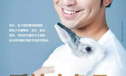 一件皮草，千针万痛。天冷了，我们一起接力对皮草“说NO”！