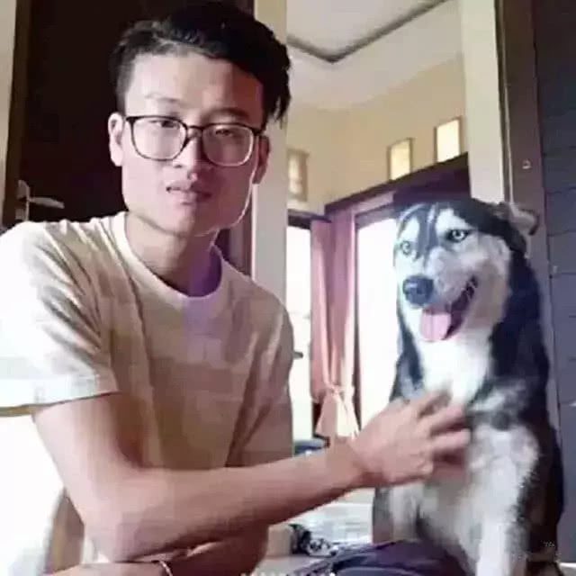 男子用大半年，把频临死亡的流浪狗养成了漂亮的哈士奇！