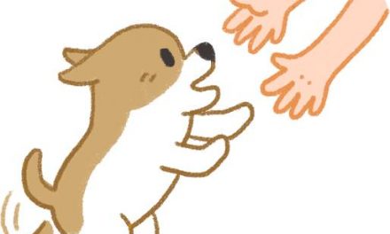 中国一直“妖魔化”狂犬病，其实并没有那么可怕，请看权威解读！