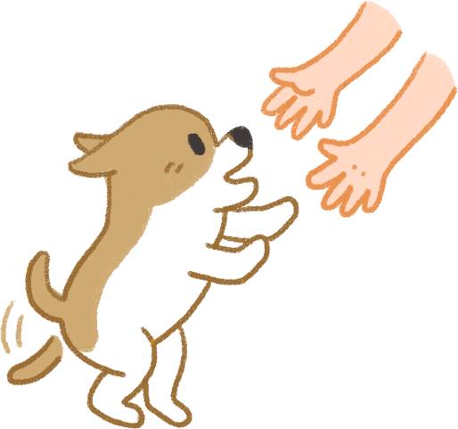 中国一直“妖魔化”狂犬病，其实并没有那么可怕，请看权威解读！