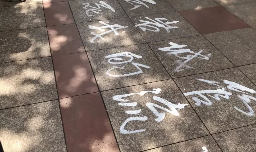 我拿什么拯救你！流浪老人正在痛哭：城管当街打死我的流浪狗！
