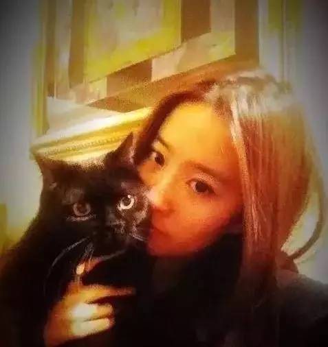 赵丽颖的毛球，刘亦菲的猫奴，孙俪的流浪狗，她们的爱与众不同